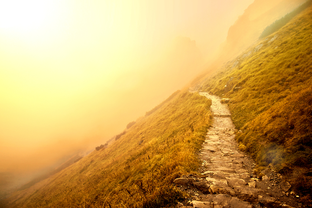 crooked foggy mountain path